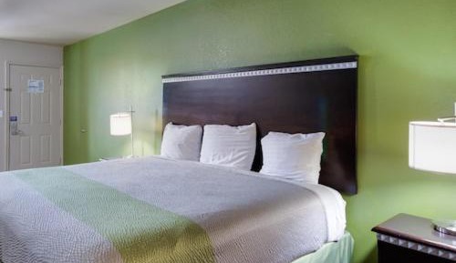 Large Single Room