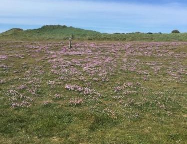 Empty lot for your Auto Camper