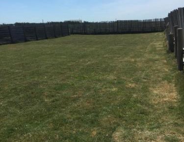 Empty lot for your Tent