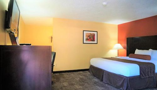 Standard King Room
