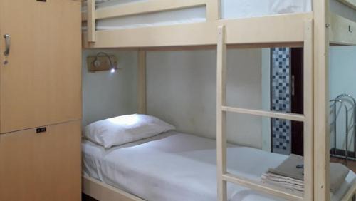Bed in 4-Bed Dormitory Room