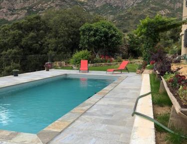 Double Room with Pool View