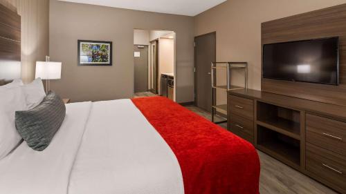 King Room with Roll-In Shower - Disability Access