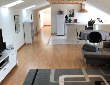 Duplex Apartment