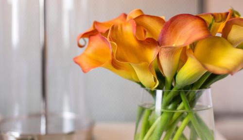 Deluxe King Room with City View