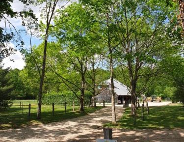 Family Room with Garden View
