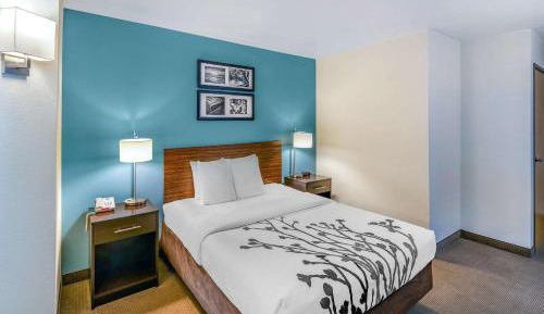 Queen Room - Disability Access/Non-Smoking