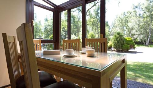 Classic One Bedroom Apartment