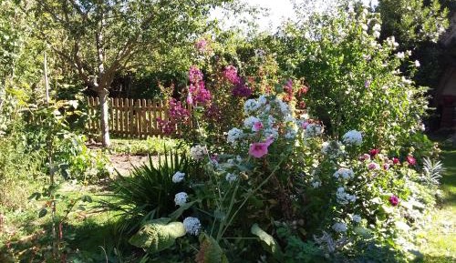 Double Room with Private External Bathroom