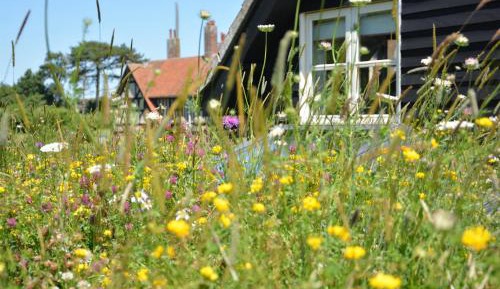 Standard  Double Room (2 Adults) 