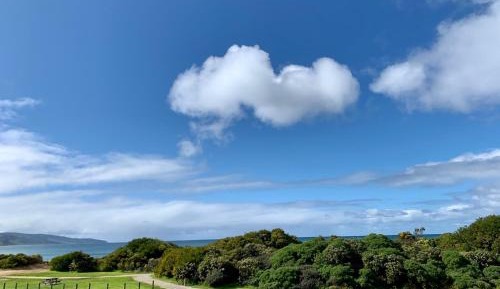 Two-Bedroom Suite with Ocean View
