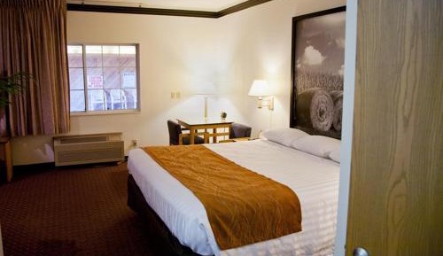 1 King Bed Non-Smoking