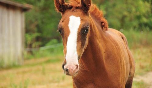Family Room with Private Bathroom
