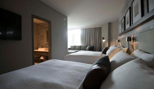 Queen Studio with Two Queen Beds - Mountain View