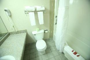 King Room - Pet Friendly/Non-Smoking