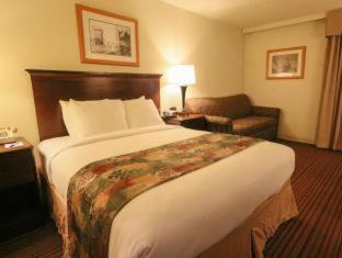 Exterior Queen Room with Four Queen Beds - Non-Smoking