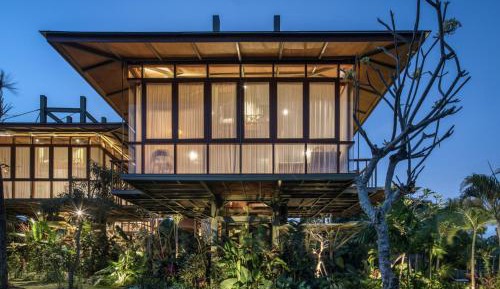 Treehouse Ficus