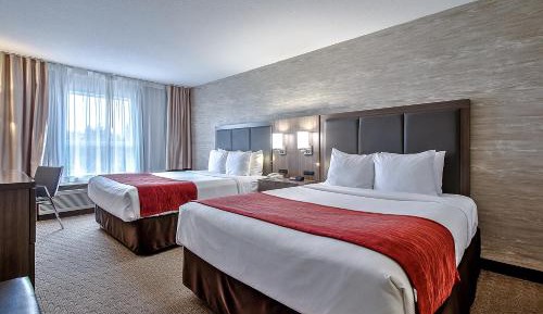 Queen Room with Two Queen Beds - Non-Smoking