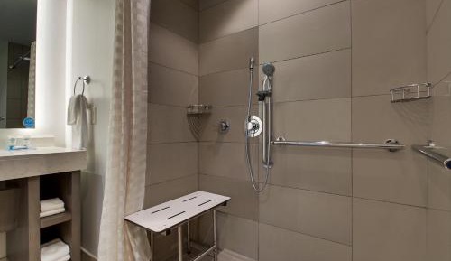 King Studio Suite with Sofa Bed and Roll-In Shower - Disability Access