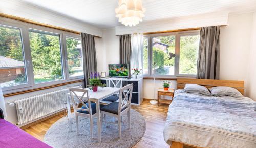 Studio Apartment
