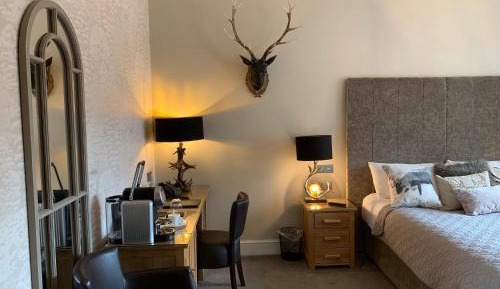 Superior Double or Twin Room