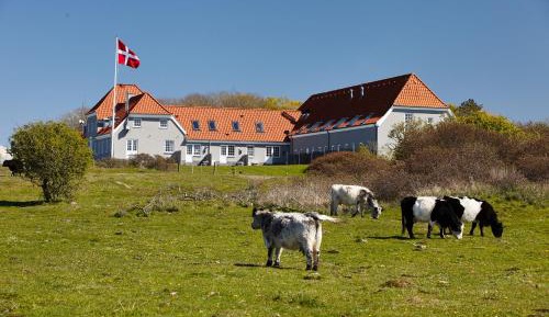 King Suite with Sea View