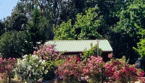 Three-Bedroom Chalet with Air Conditoning