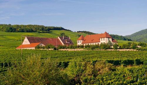 Studio with Garden View