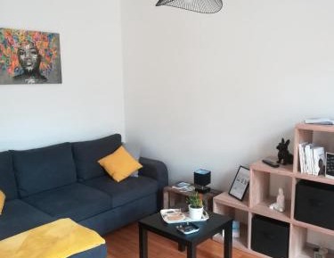Standard Apartment