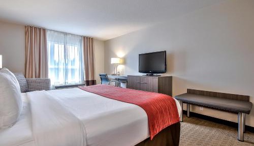 King Room - Non-Smoking