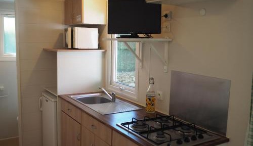 Mobile Home