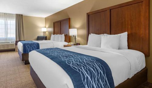 Queen Room with Two Queen Beds - Non-Smoking