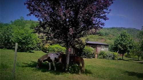 Two-Bedroom Chalet