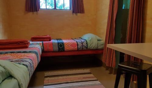 Single Bed in Female Dormitory Room