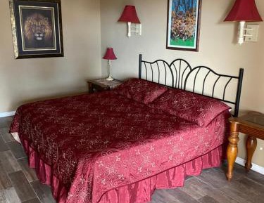 Contemporary Room with Sea View