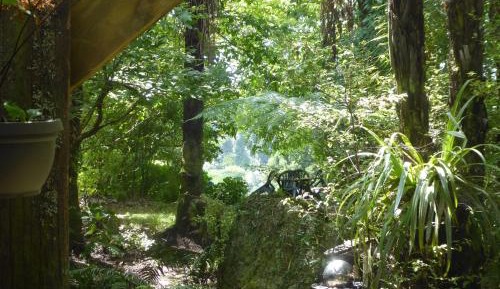 Double Room with Garden View - 2