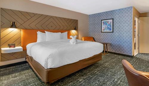 King Room - Accessible/Non-Smoking