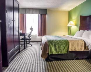 Quadruple Room with Two Queen Beds - Non Smoking/Ground floor/Pet Friendly