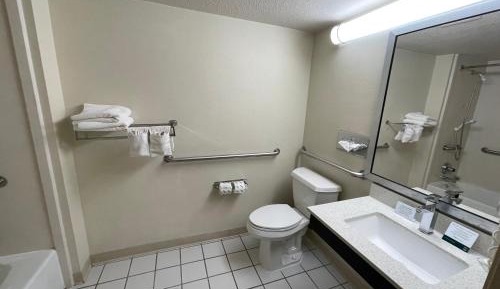 King Room - Accessible/Smoking