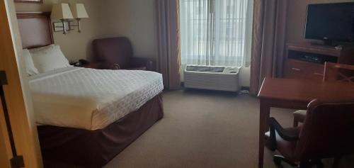 Studio Suite