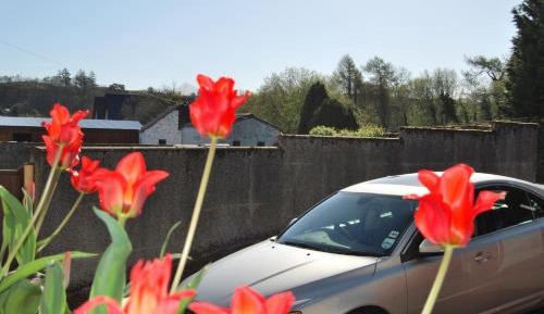  Twin Room - Ground Floor