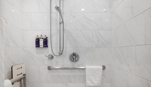 King Room with Roll-In Shower - Disability Access