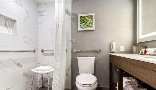 King Room with Roll-In Shower - Disability Access