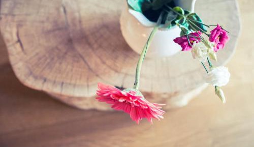 Family Room with Private Bathroom