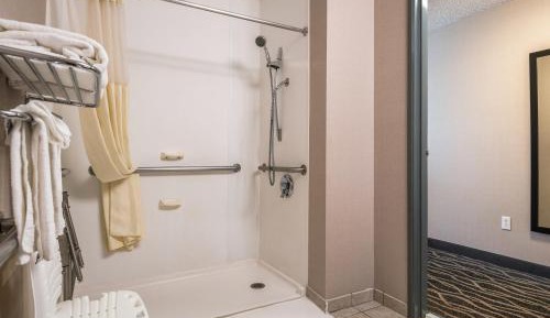 Queen Room with Roll-In Shower - Accessible/Non-Smoking
