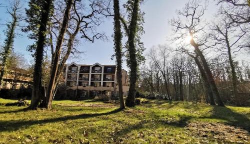 Standard Triple Studio