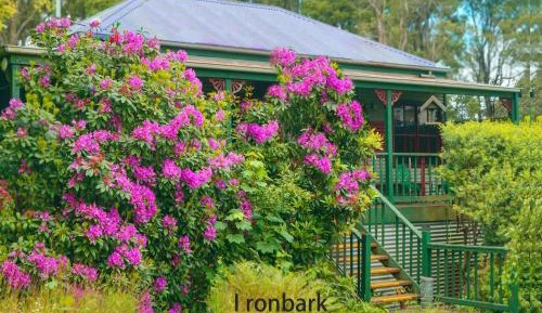 Ironbark Cottage