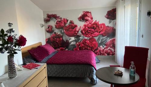 Big Double Room with terrace