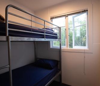 Bunk Bed in Mixed Dormitory Room