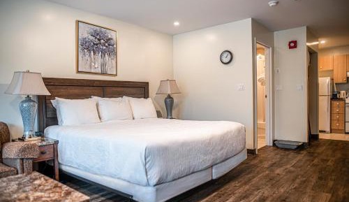 Executive Suite, 1 King Bed, 1 Queen Sofa Bed